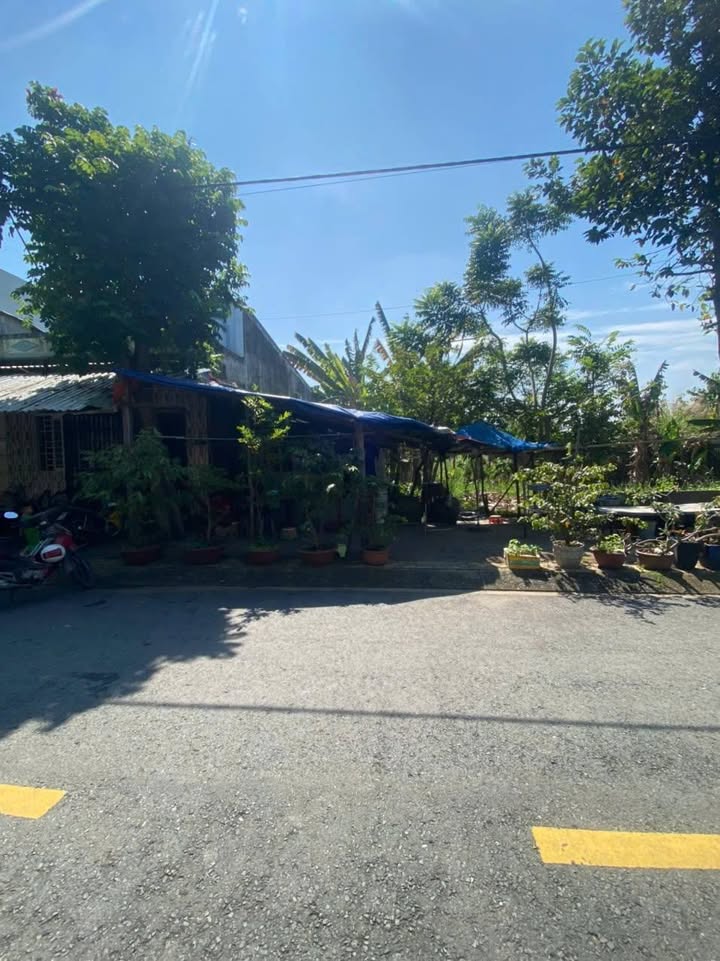 Đất nền Dự Án Thành Hiếu, Long Hậu 100m² giá 2.35 tỷ - Cơ hội đầu tư tuyệt vời!