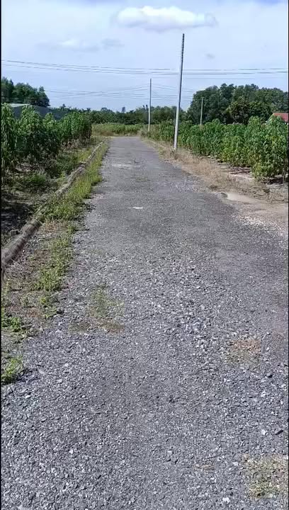 Đất nền tại phường Mỹ Xuân, Phú Mỹ - 130m² chỉ 350 triệu - Sổ đỏ chính chủ!