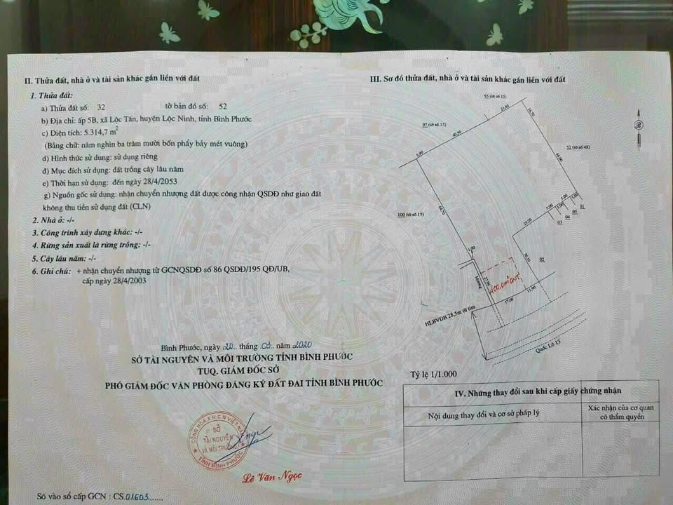 Đất mặt tiền Quốc Lộ 13 xã Lộc Tấn 5300m² - Vị trí đắc địa, giá tốt!