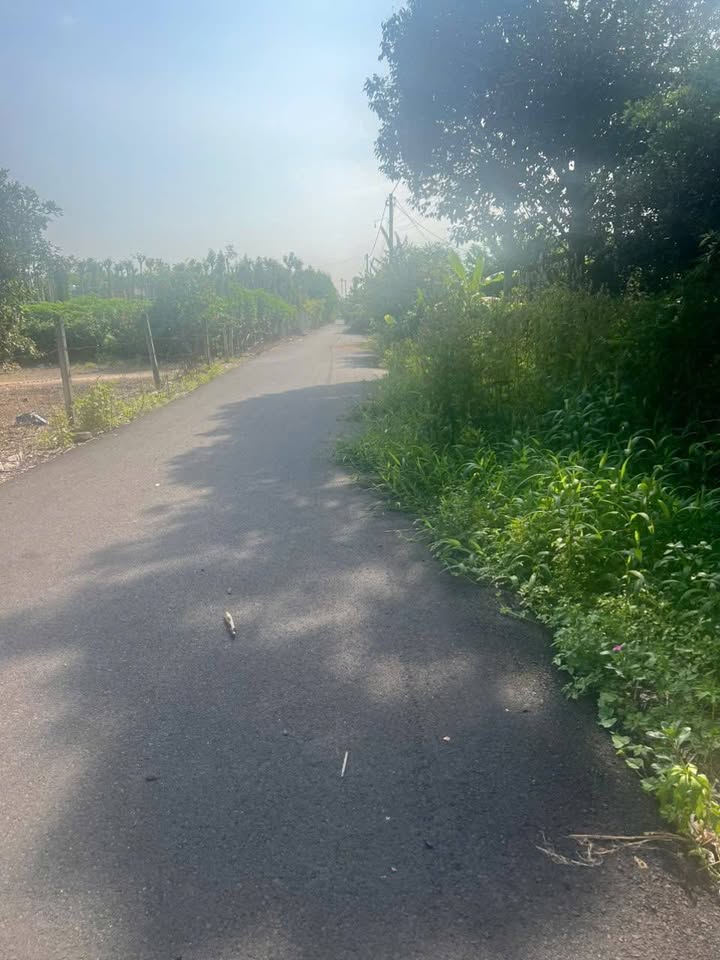 Đất nền Hòa Hội Xuyên Mộc 453m² giá 1.07 tỷ - Bán gấp lỗ do cần tiền!