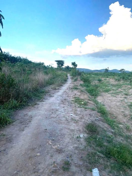 Đất thổ cư 520m² tại Thôn 2, Đăk Cấm, Kon Tum - Giá 400 triệu, phù hợp đầu tư!