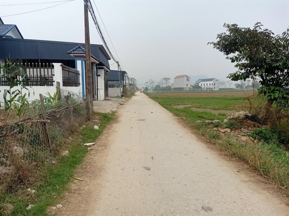 Đất nền Định Hòa, Yên Định 200m² giá 700 triệu - Cơ hội đầu tư tuyệt vời!