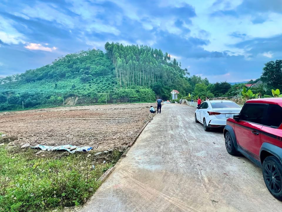 Đất nền Thọ Văn, Tam Nông 133m² giá chỉ 300 triệu - Cơ hội đầu tư hấp dẫn!