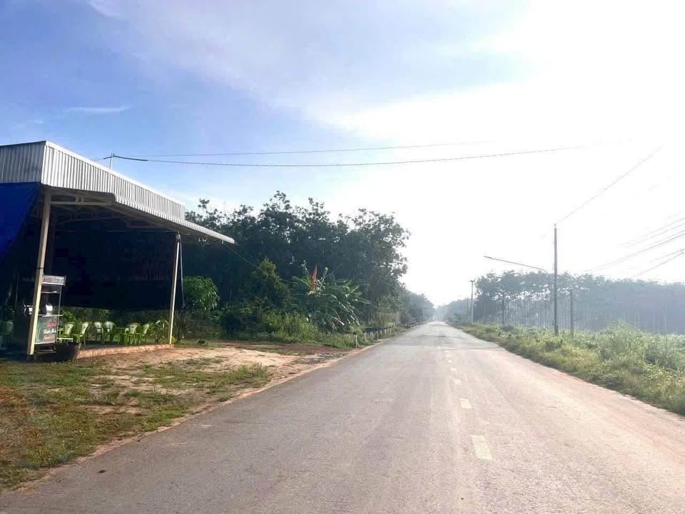 Đất nền dự án mặt tiền ĐH722 Minh Thạnh 210m² giá chỉ 600 triệu - Đầu tư sinh lời ngay!