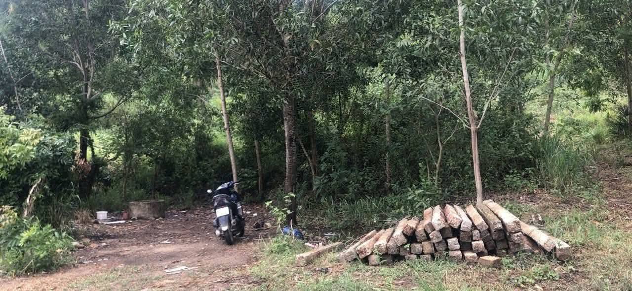 Đất nền Tân Định Ninh Hòa 9.3ha giá 5.5 tỷ - Đường ô tô vào tận nơi!