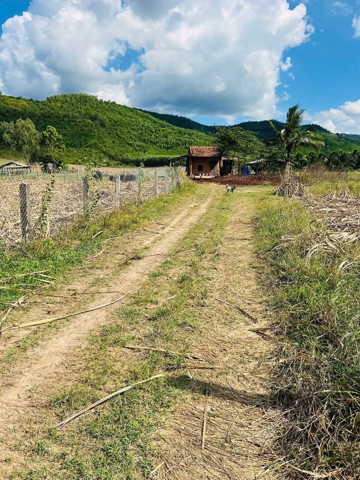 Đất vườn Tân Định, Khánh Hòa 550m² giá chỉ 139 triệu - Cơ hội đầu tư tuyệt vời!