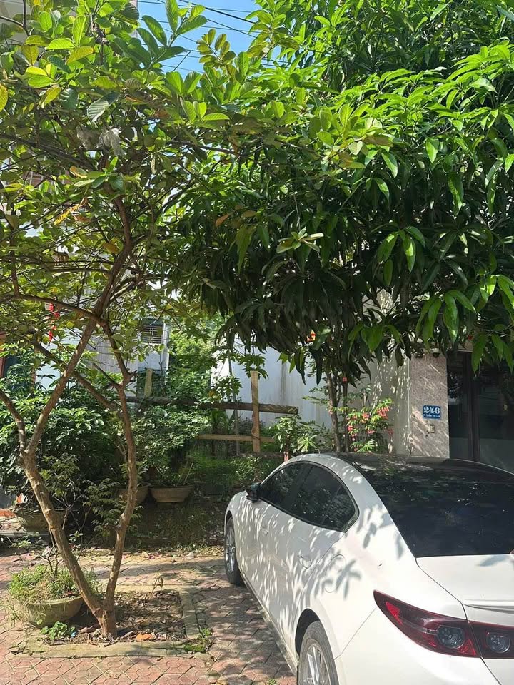 Đất nền đường Trần Thị Lan, Lào Cai 100m² giá 3.18 tỷ - Nhanh tay sở hữu ngay!