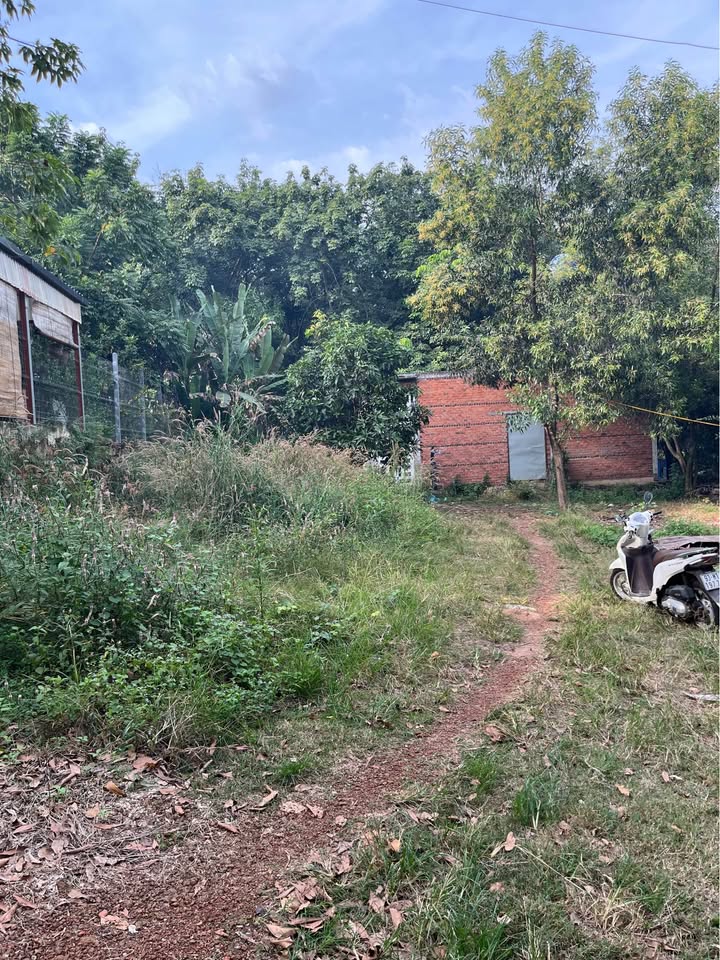 Nhà cấp 4 chính chủ tại Tân Tiến, Đồng Phú, 4760m² - Giá cực tốt, thương lượng ngay!