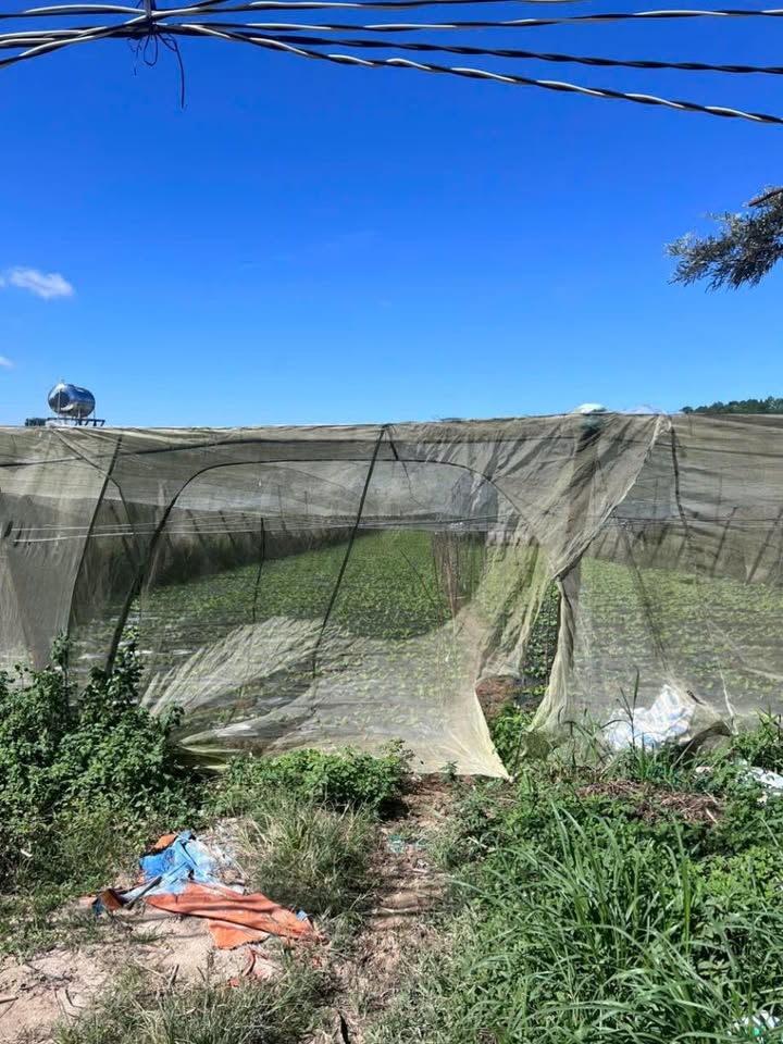 Đất nền mặt tiền đường bê tông xã D’ran 3.5 sào giá 650 triệu - Sổ đỏ chính chủ