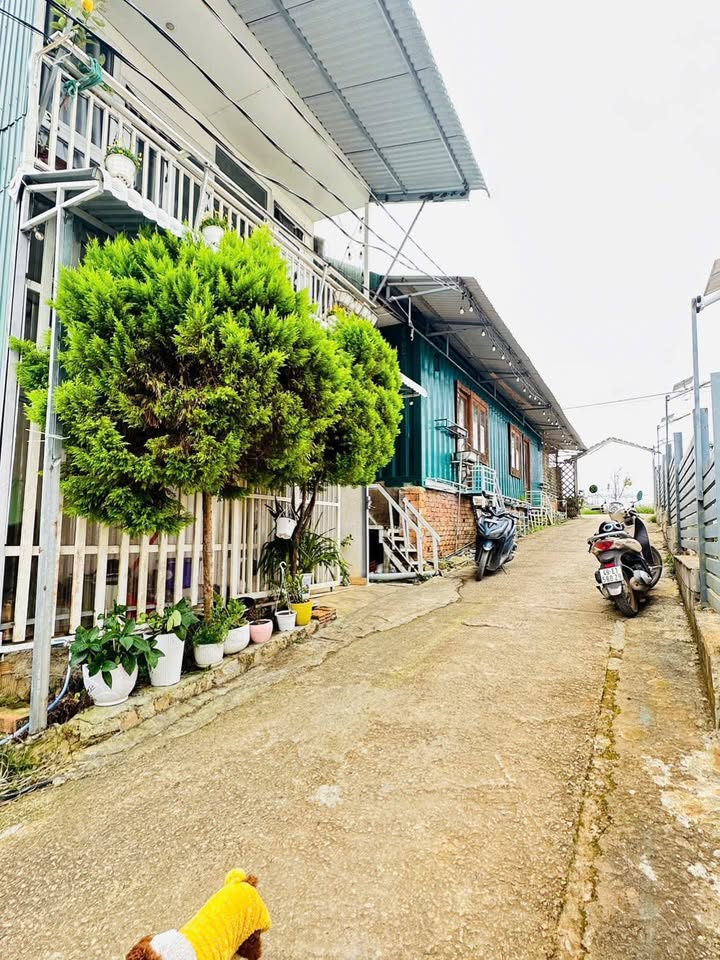 Nhà nghỉ dưỡng Đà Lạt 50m² giá 1.45 tỷ - Đầu tư sinh lời ngay!