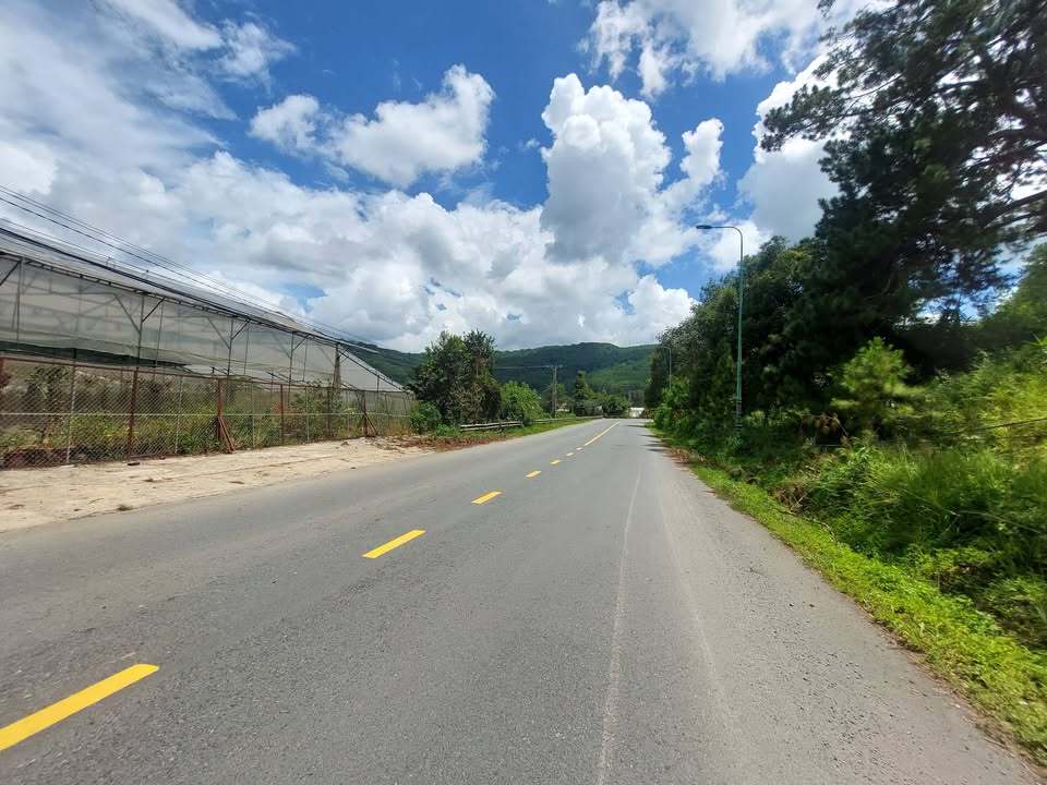 Đất mặt tiền đường Mimosa, phường 10, Đà Lạt 6700m² - Giá đầu tư tốt!