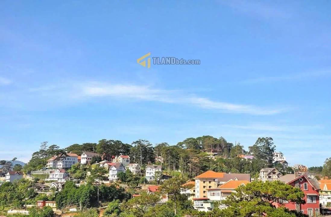 Nhà Đặng Thái Thân Đà Lạt 230.98m² giá 11.5 tỷ - Biệt lập, sân ô tô rộng rãi!