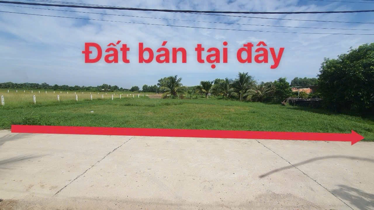 Đất thổ cư Phước Thạnh, Củ Chi 1034m² giá 3.6 tỷ - Mặt tiền đường bê tông rộng rãi!