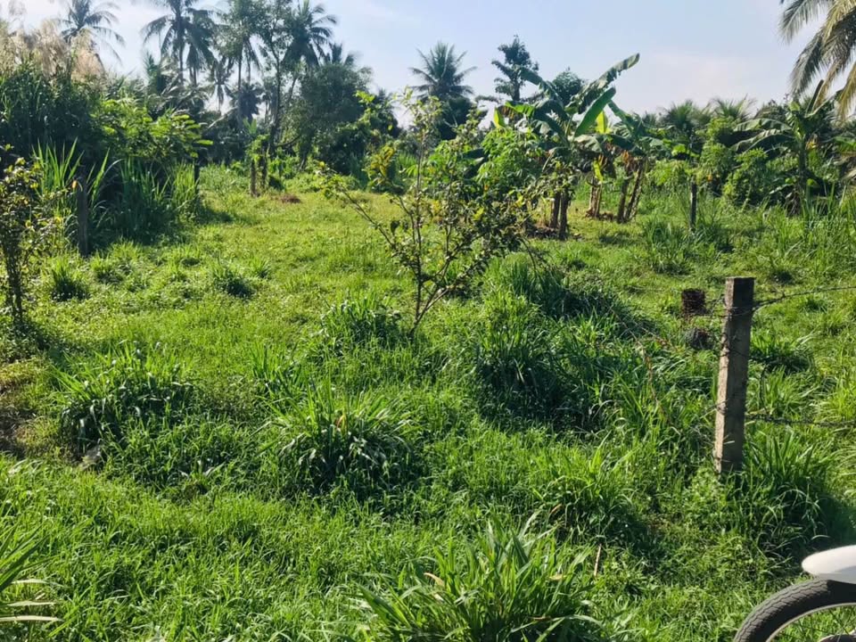 Đất nền Tường Đa, Châu Thành 384.2m² giá 550 triệu - Cơ hội đầu tư tuyệt vời!