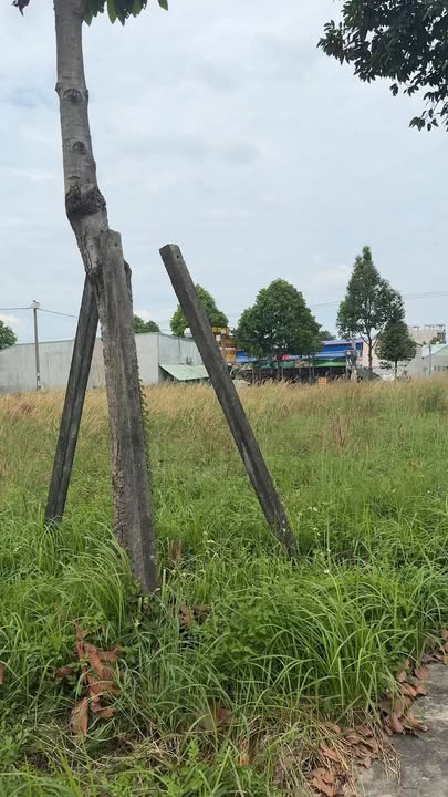 Đất nền D13, Bàu Bàng 150m² giá 3.33 tỷ - Vị trí kinh doanh đắc địa!