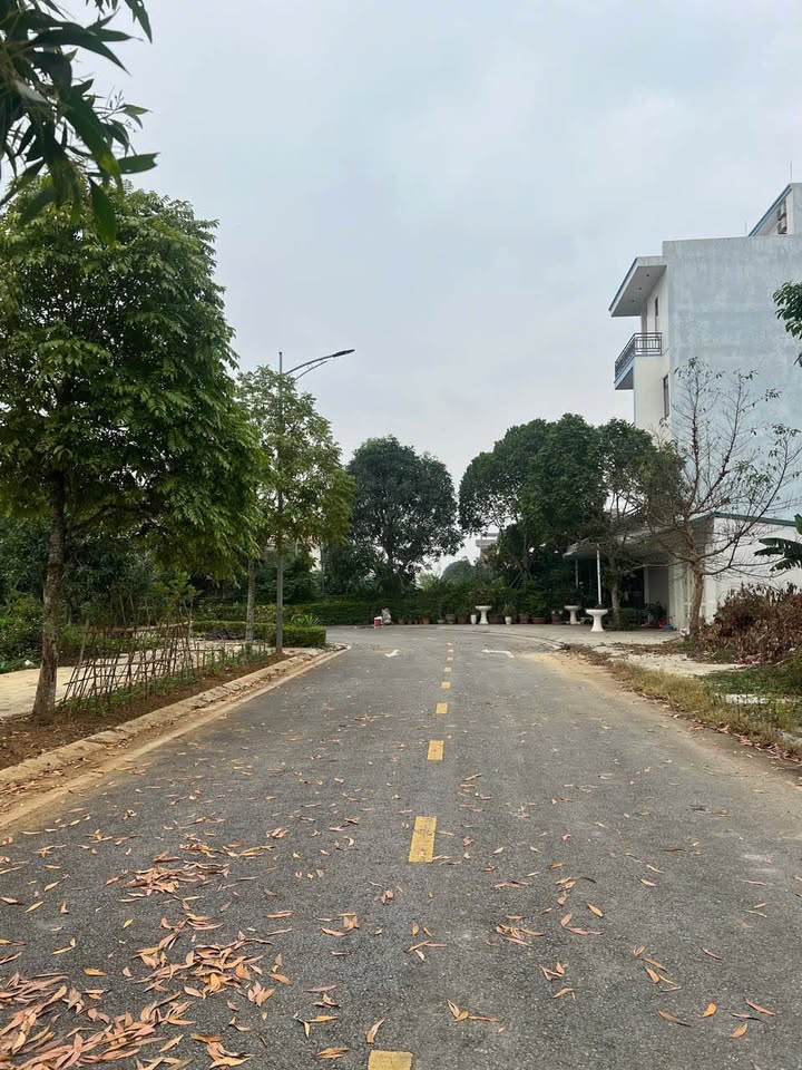 Đất nền Đông Hải 75m² giá 4 tỷ - Tiềm năng đầu tư vượt trội!