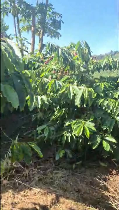 Đất nền Phúc Thọ Lâm Hà 1,5ha giá 5.7 tỷ - Cơ hội đầu tư hấp dẫn!