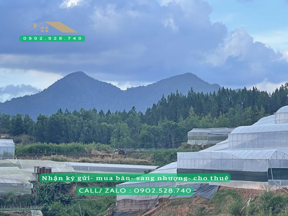 Đất nông nghiệp 6154m² view núi Langbiang tại Phường 7, Đà Lạt - Giá chỉ 22 tỷ