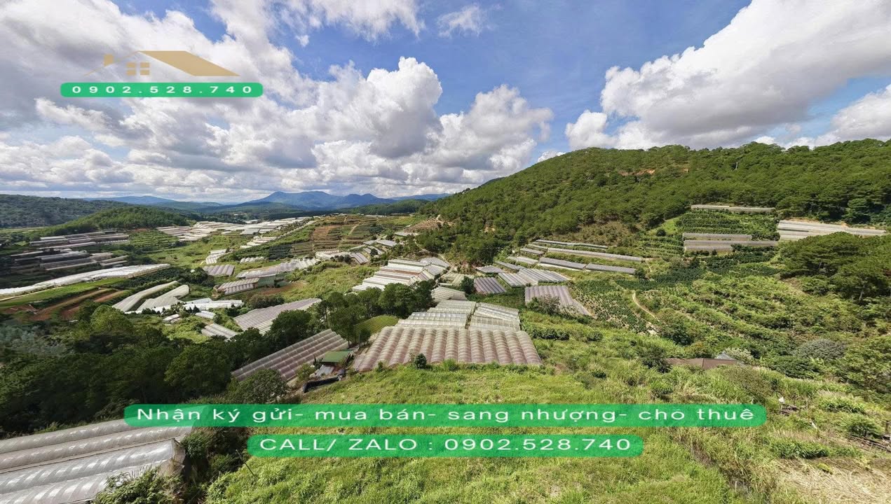 Đất nền 4.275m² Đà Lạt - Giá chỉ 4 triệu/m², cơ hội đầu tư tuyệt vời!