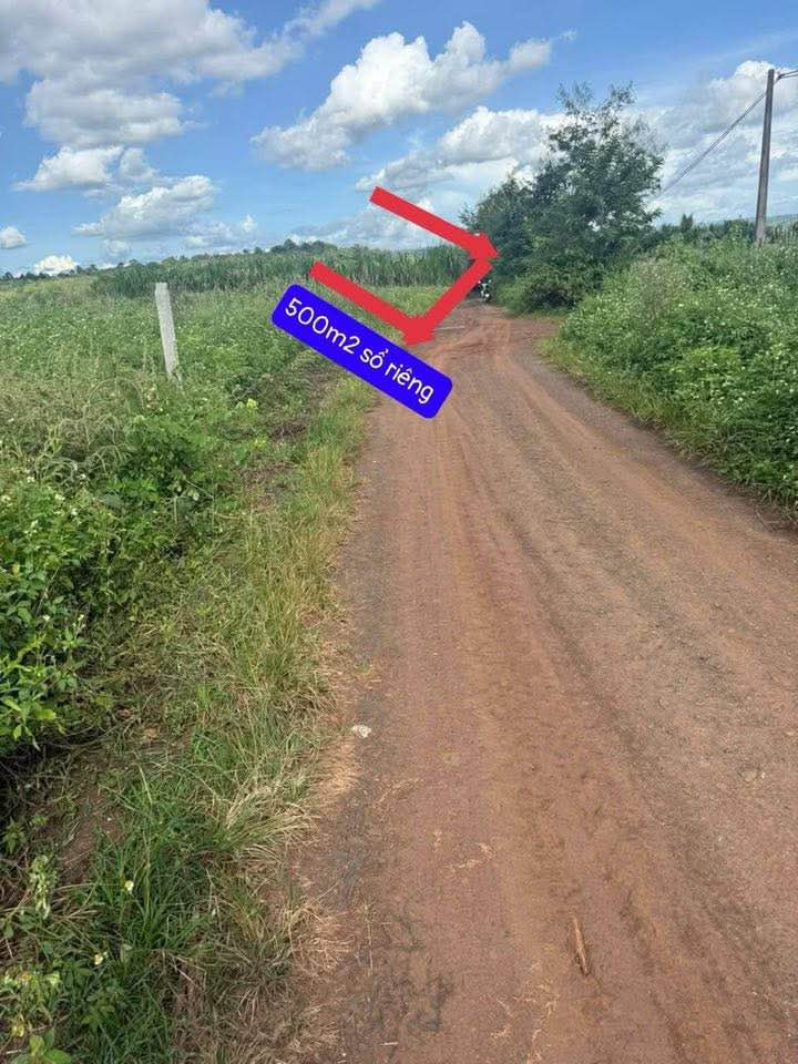 Đất nền thổ cư 500m² tại thôn 8 Cư Êbur, giá chỉ 350 triệu - Cơ hội đầu tư hấp dẫn!