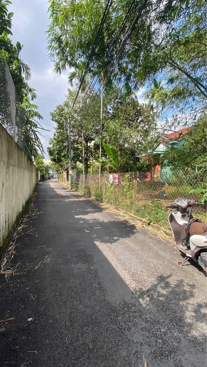 Đất nền hẻm ô tô thông đường Trần Cẩm 141m² giá 1.65 tỷ - Cơ hội đầu tư tuyệt vời!