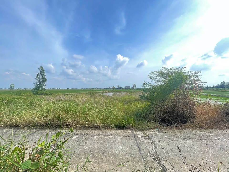 Đất nền mặt tiền Mai Thành Tâm, Vĩnh Thông, Rạch Giá - Giá chỉ 1 tỷ, cơ hội đầu tư hấp dẫn!