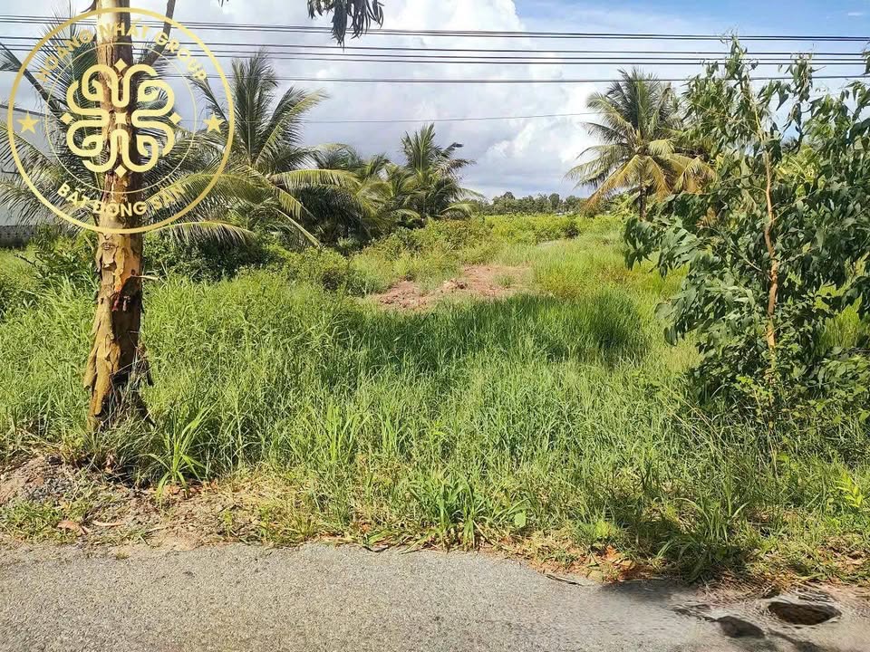 Đất nền 215m² tại ấp Bến Gỗ, Cà Mau - Giá chỉ 925.2 triệu, xây dựng ngay!