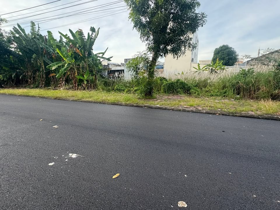 Đất nền khu Licogi, đường Tố Hữu, 100m² - Sổ hồng đầy đủ, thổ cư 100%!