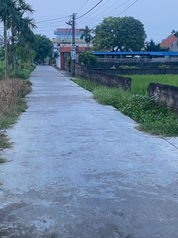 Đất nền lô góc Thôn Thọ Tung, xã Nam Hùng 160m² giá 1.5 tỷ - Đầu tư sinh lời hấp dẫn!