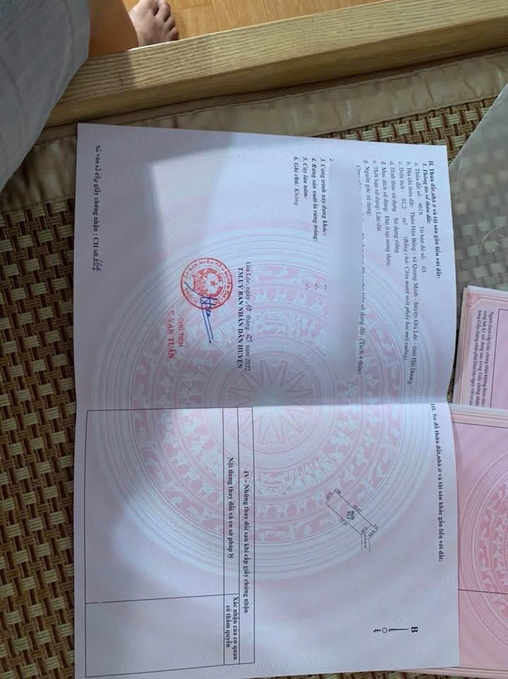 Đất nền Quang Minh Gia Lộc 91m² giá thỏa thuận - Vị trí đắc địa, dân cư đông đúc!