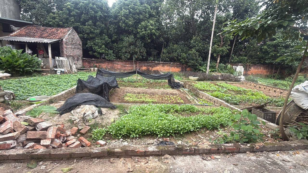 Đất Tích Giang Phúc Thọ 90m² giá 900 triệu - Cơ hội đầu tư sinh lời!