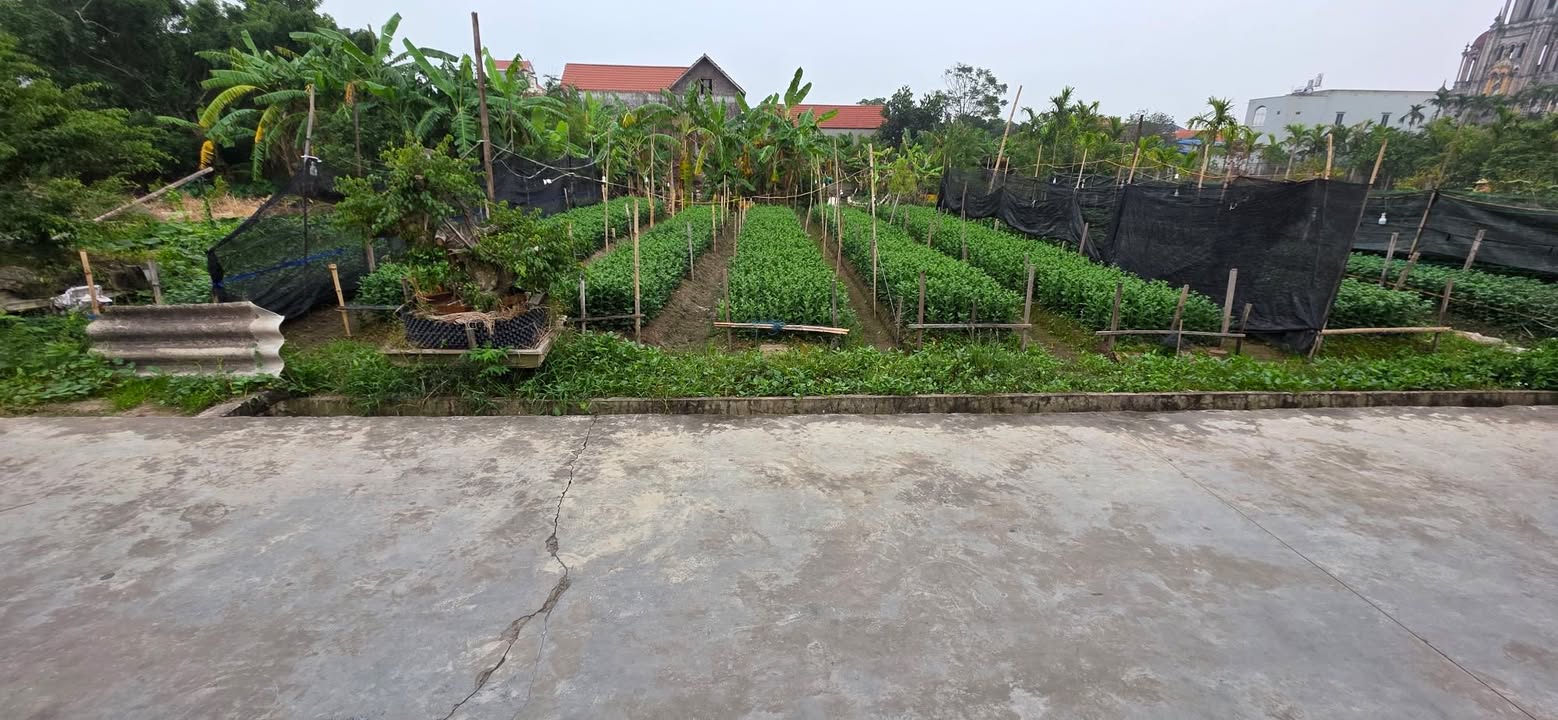 Đất nền Bắc Hải, Hải Xuân 123m² - Vị trí đẹp, thuận tiện cho kinh doanh!