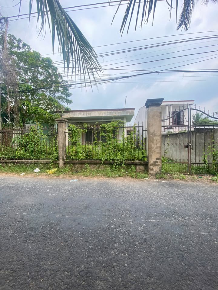 Đất mặt tiền Nguyễn Văn Lâu, Vĩnh Long 219.8m² giá 2.35 tỷ - Tặng nhà cổ sang trọng!