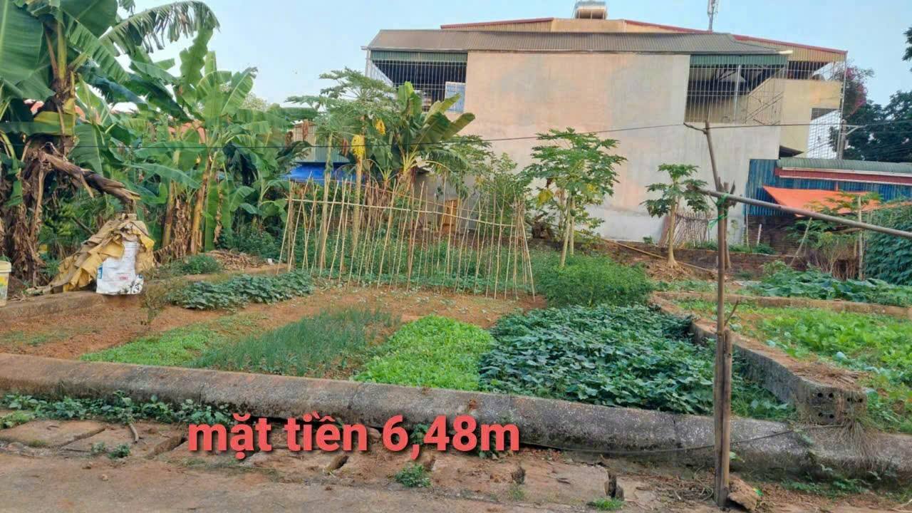 Đất nền Phú Cát 87m² giá thỏa thuận - Mặt tiền rộng đẹp, đầu tư sinh lời!