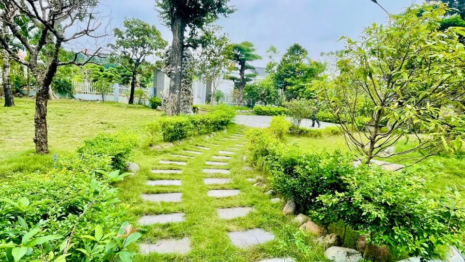 Farm tại thôn Thắng Đầu, Quốc Oai, 880m² - Chuyển nhượng gấp!