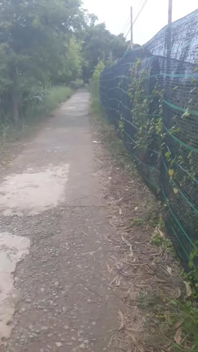 Đất nuôi trồng thủy sản 11.376m² tại Phú Hữu, Tân Phú Đông - Chỉ 1.5 tỷ!