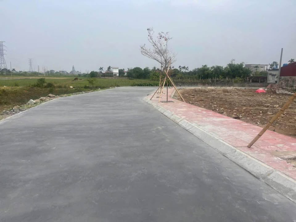 Đất nền Mỹ Lộc Thái Thụy 100m² giá chỉ 5xx triệu - Đầu tư sinh lời ngay!