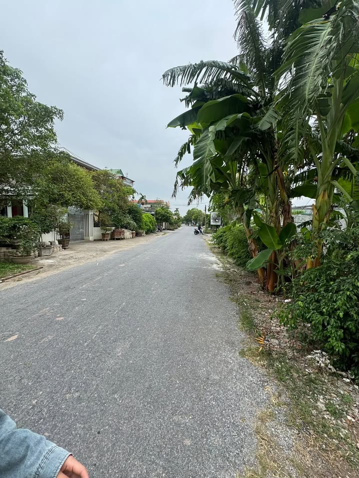 Đất nền Đông Trà, Tiền Hải 121m² giá 1 tỷ - Sổ đỏ chính chủ, sang tên ngay!