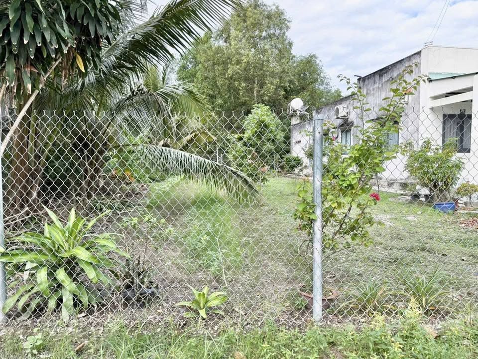 Đất thổ cư Thanh Điền, Tây Ninh 140m² giá 335-400 triệu - Cơ hội đầu tư hấp dẫn!