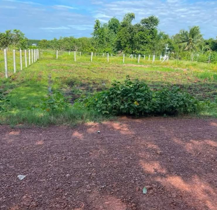 Đất nền ấp Phước Lập, xã Phước Vinh, 150m² chỉ 190 triệu - Sổ hồng chính chủ!