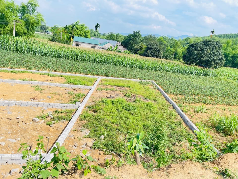 Đất mặt đường liên xã Đoàn Kết, Yên Thủy 119m² giá 300 triệu - Cơ hội đầu tư lý tưởng!