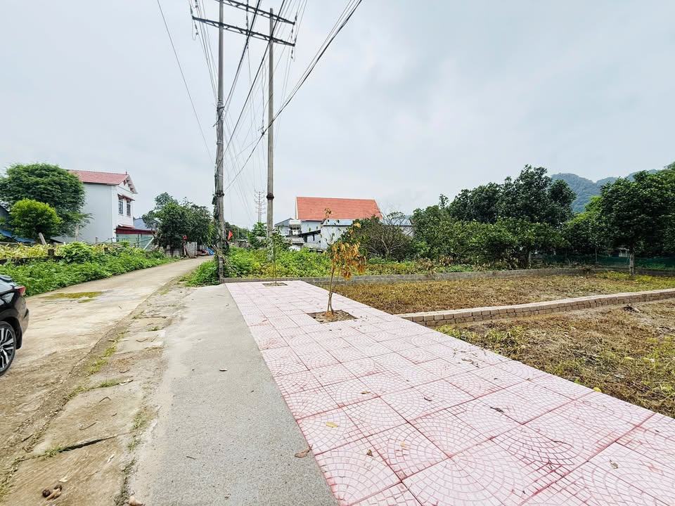 Đất lô góc Thanh Sơn - Lương Sơn 120m² giá chỉ 700 triệu - Cơ hội vàng cho nhà đầu tư!