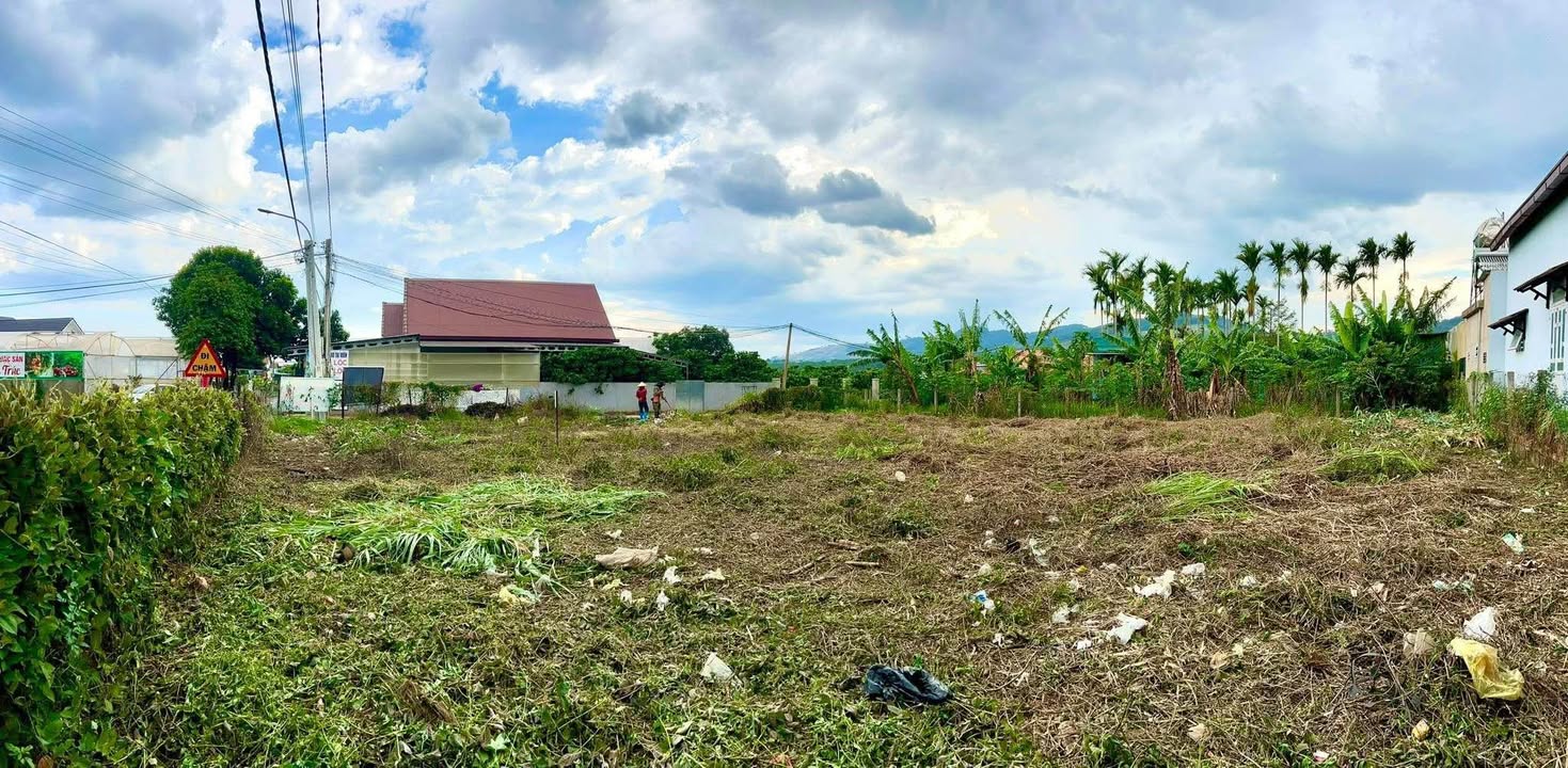 Đất nền 742m² tại Cam Ly, Đà Lạt - Lô góc 2 mặt tiền, giá chỉ 8 tỷ!