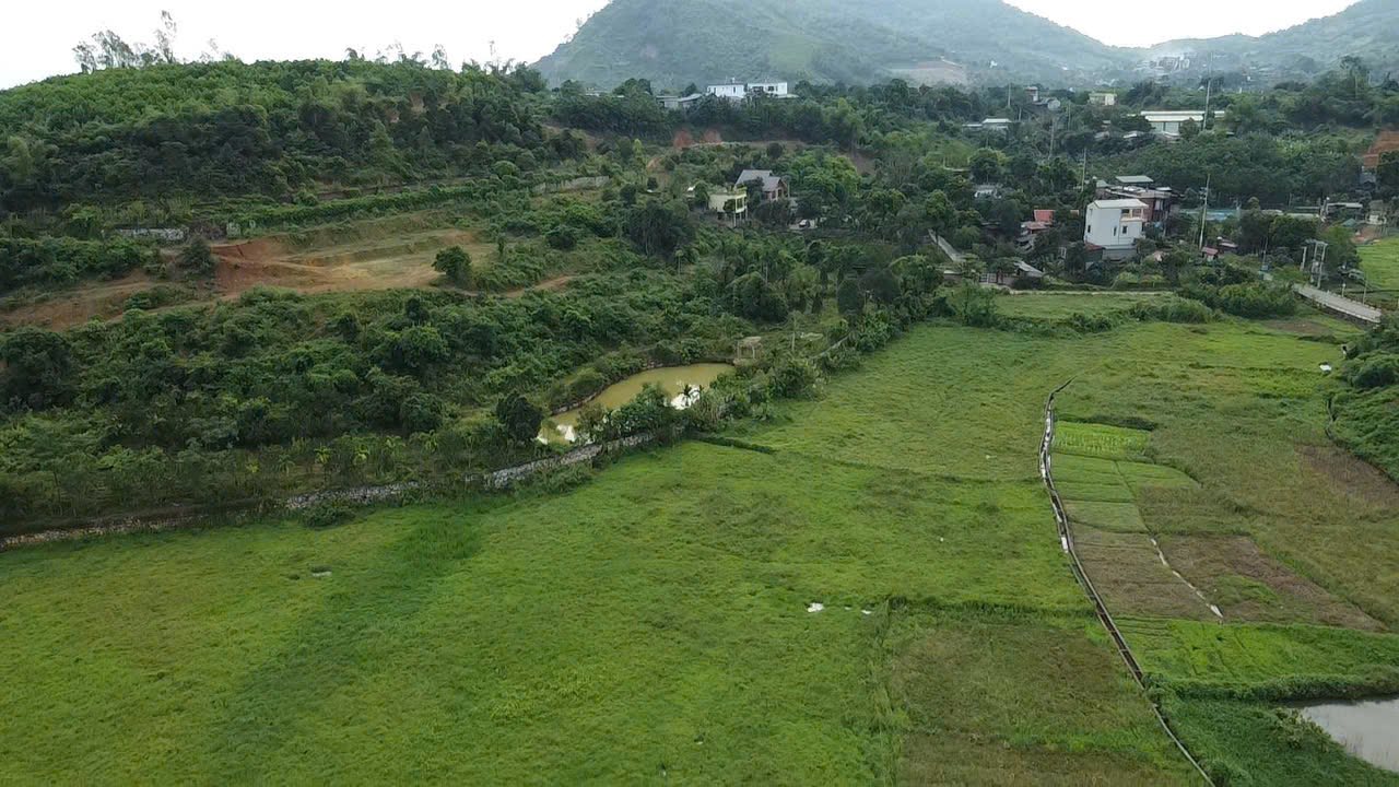 Đất thổ cư xã Phú Cát 20.000m² giá chỉ 100 tỷ - Đầu tư sinh lời lý tưởng!