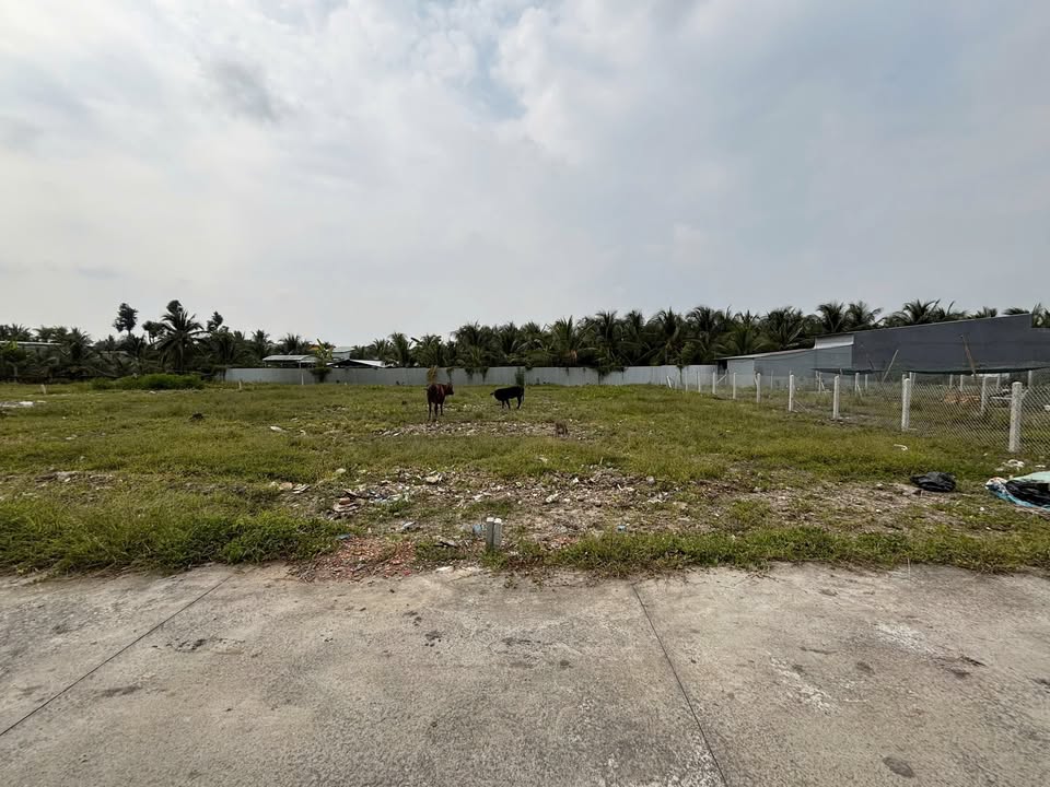 Đất nền Trung An 160m² giá 800 triệu - Đầu tư sinh lời ngay!