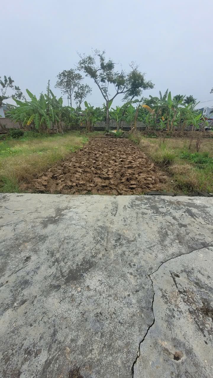 Lô đất Đa Phúc 53,5m² giá 1 tỷ - Ngõ ô tô vào tận nơi!