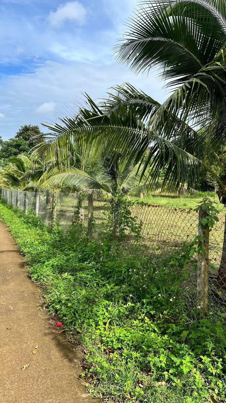 Đất nền Ea Kao Buôn Ma Thuột 1200m² giá 1.299 tỷ - Mặt tiền bê tông, vị trí lý tưởng!