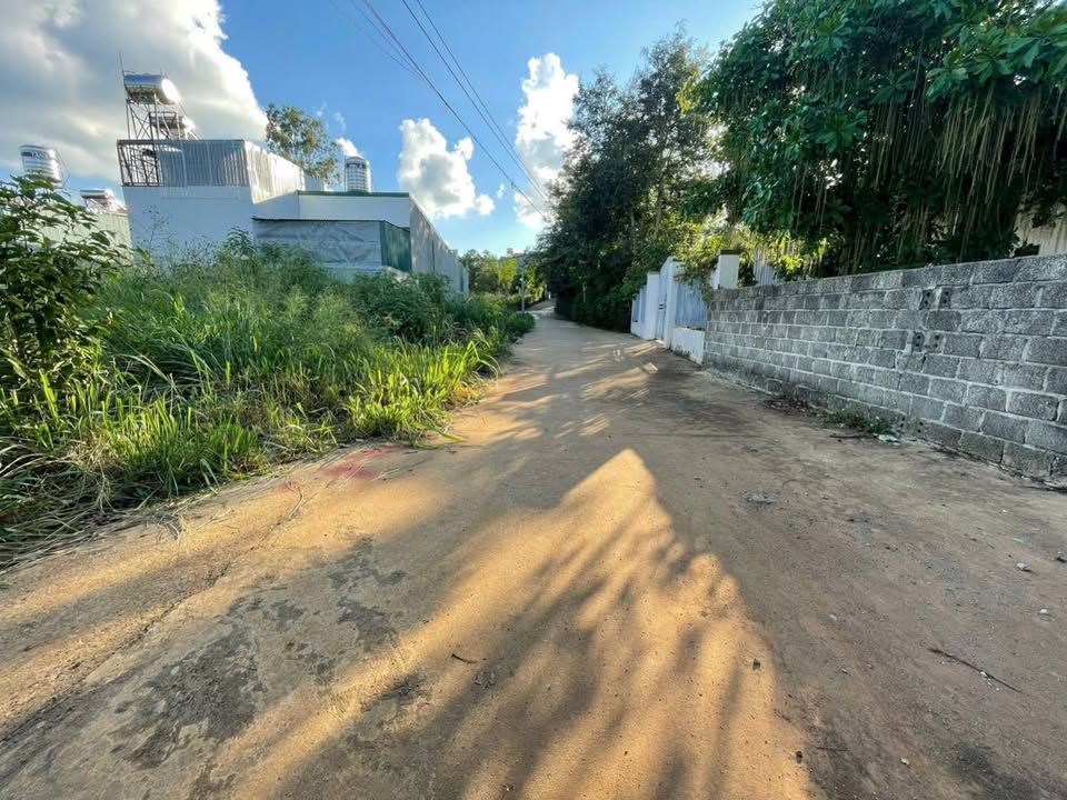 Đất nền Tân Hoà, Buôn Ma Thuột 88m² giá 1.05 tỷ - Đầu tư sinh lời ngay!