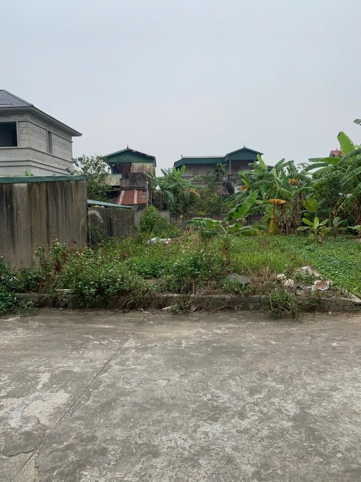 Đất đấu giá Đồng Phố, Tân Dân, Phú Xuyên 109m² giá 3.113 tỷ - Kinh doanh thuận lợi!