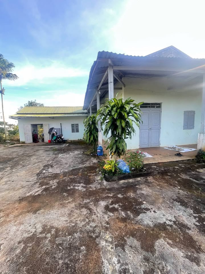 Nhà vườn Đắk Nia, Gia Nghĩa 400m² giá 1.8 tỷ - Cơ hội đầu tư hấp dẫn!